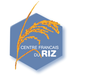 centre français du riz