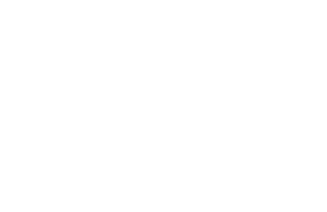 riz de camargue