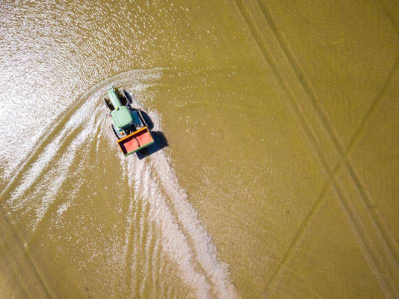 terroir riz de camargue